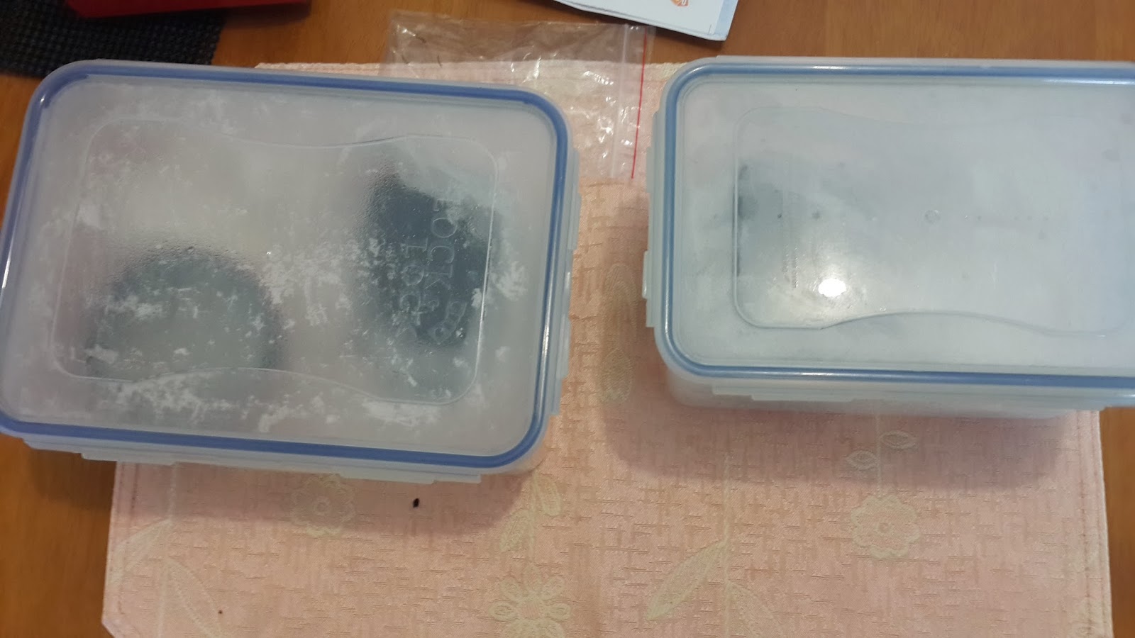 两个盖合的密封盒,盒盖内侧可见水汽与水滴
